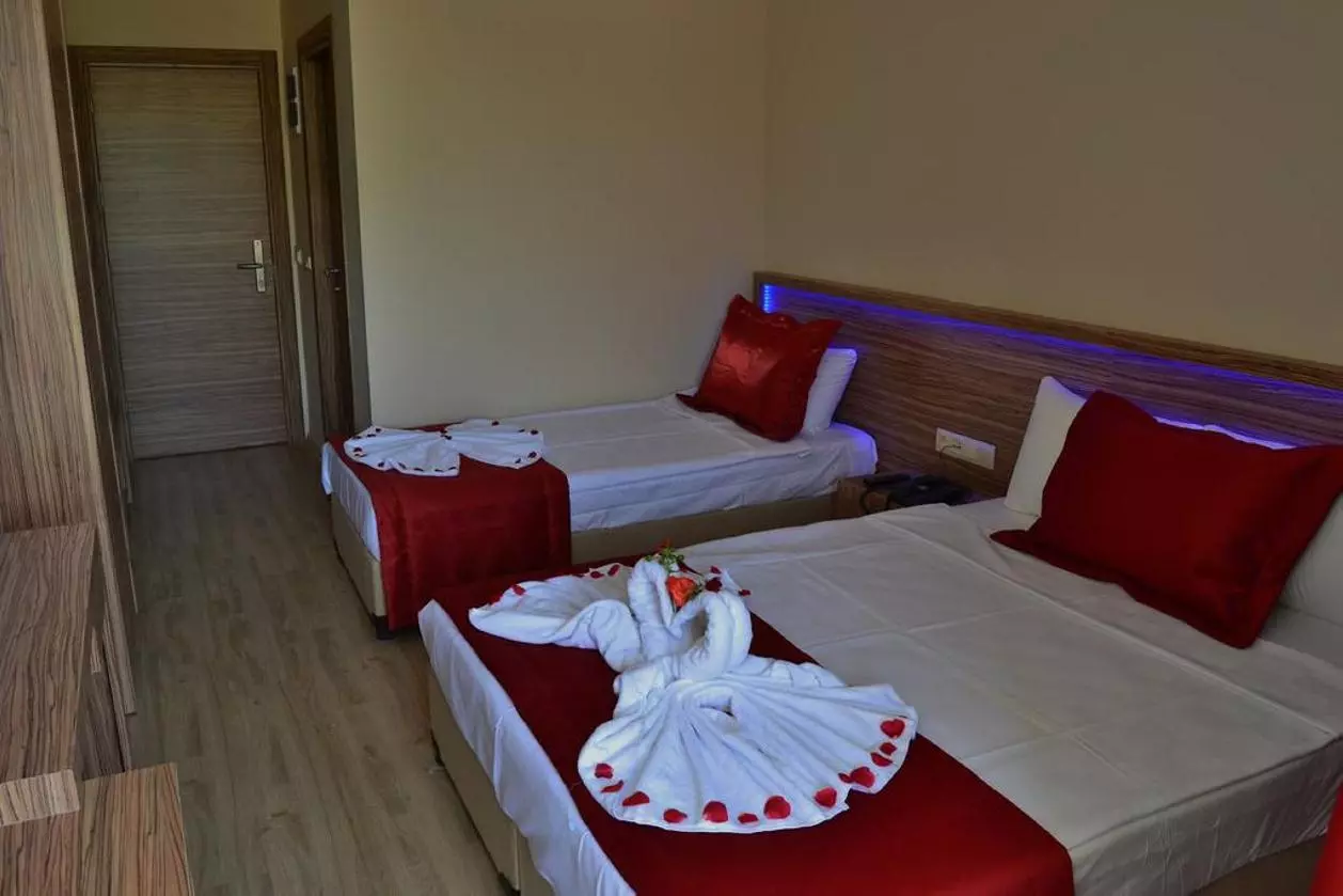 BELMARE_SHABAVIZ (2).jpg